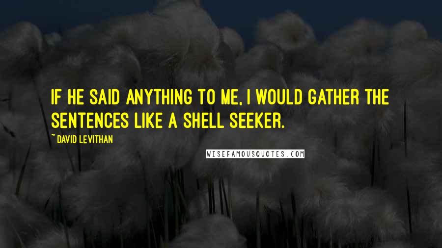 David Levithan Quotes: If he said anything to me, I would gather the sentences like a shell seeker.