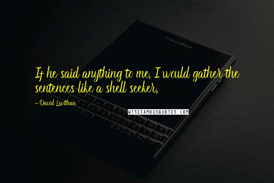 David Levithan Quotes: If he said anything to me, I would gather the sentences like a shell seeker.