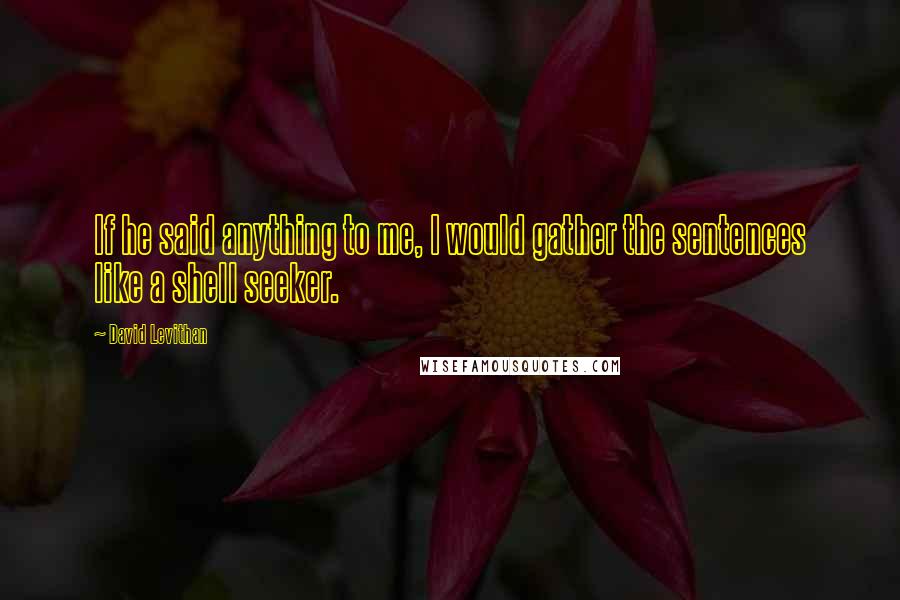 David Levithan Quotes: If he said anything to me, I would gather the sentences like a shell seeker.