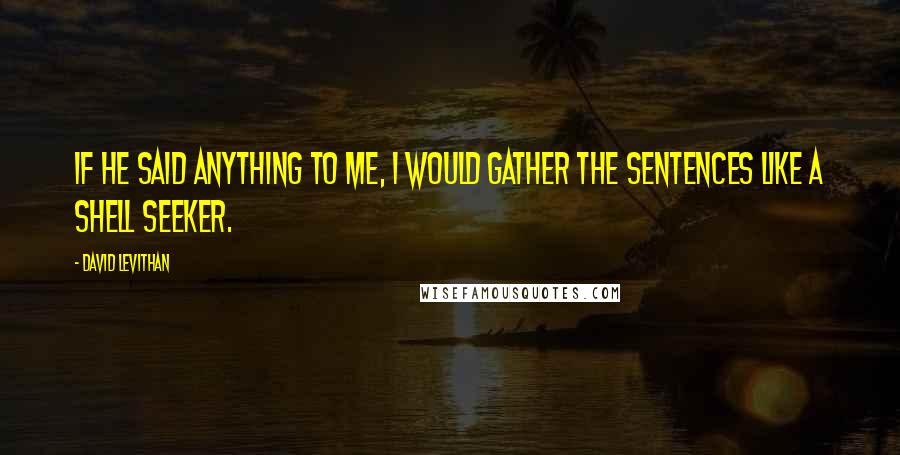 David Levithan Quotes: If he said anything to me, I would gather the sentences like a shell seeker.