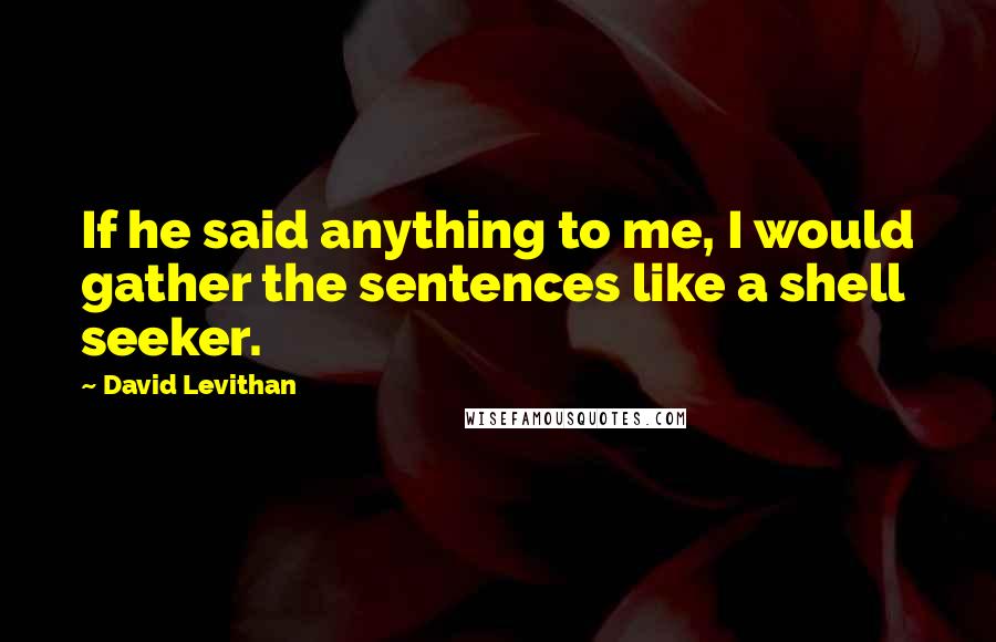 David Levithan Quotes: If he said anything to me, I would gather the sentences like a shell seeker.