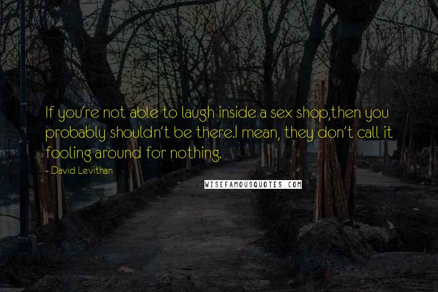 David Levithan Quotes: If you're not able to laugh inside a sex shop,then you probably shouldn't be there.I mean, they don't call it fooling around for nothing.