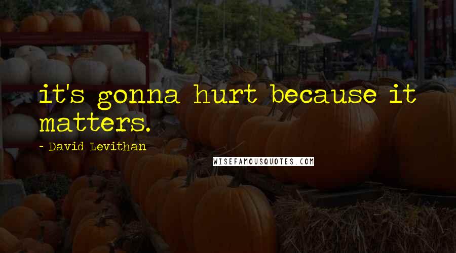 David Levithan Quotes: it's gonna hurt because it matters.