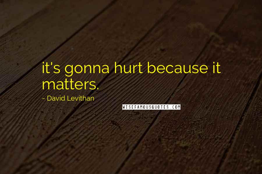 David Levithan Quotes: it's gonna hurt because it matters.
