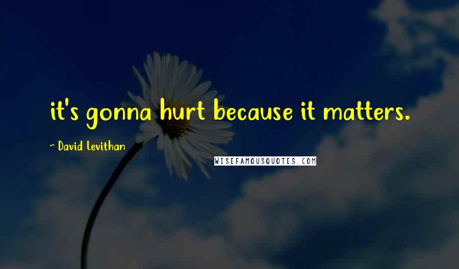 David Levithan Quotes: it's gonna hurt because it matters.
