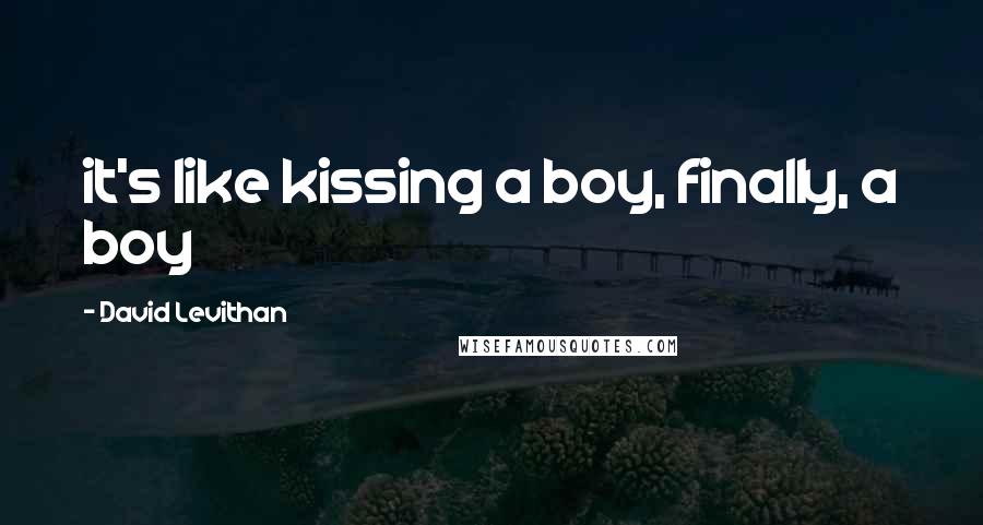 David Levithan Quotes: it's like kissing a boy, finally, a boy