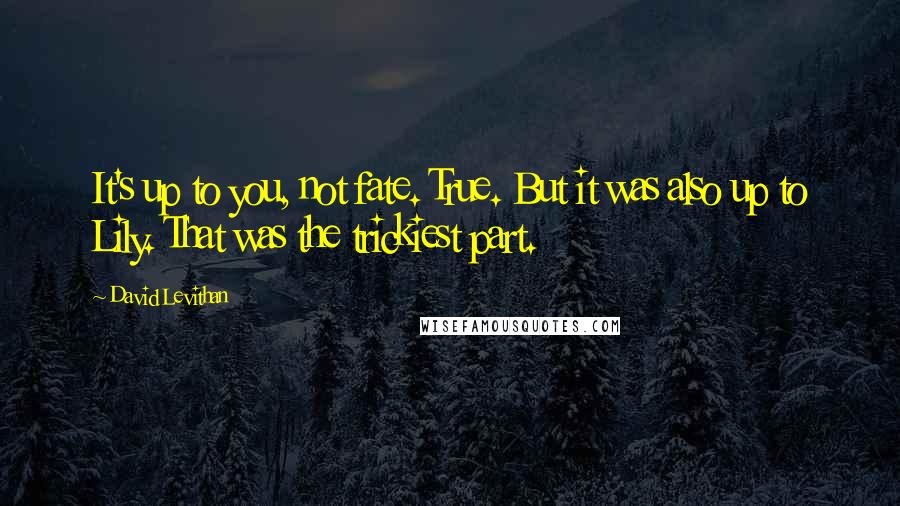 David Levithan Quotes: It's up to you, not fate. True. But it was also up to Lily. That was the trickiest part.