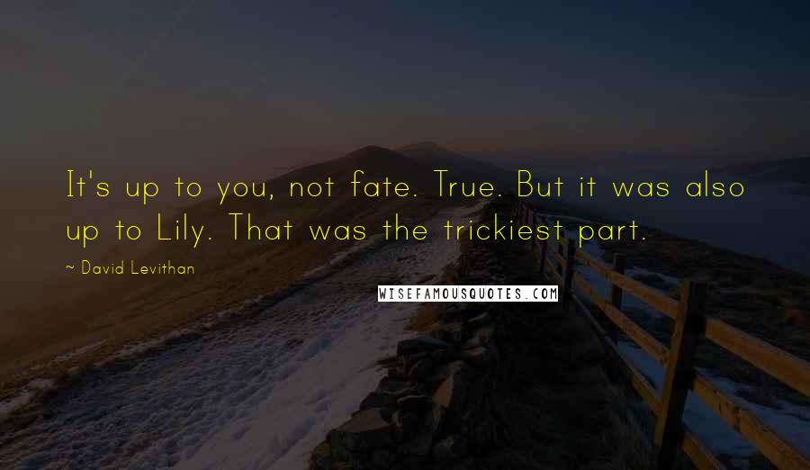 David Levithan Quotes: It's up to you, not fate. True. But it was also up to Lily. That was the trickiest part.