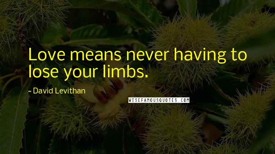 David Levithan Quotes: Love means never having to lose your limbs.