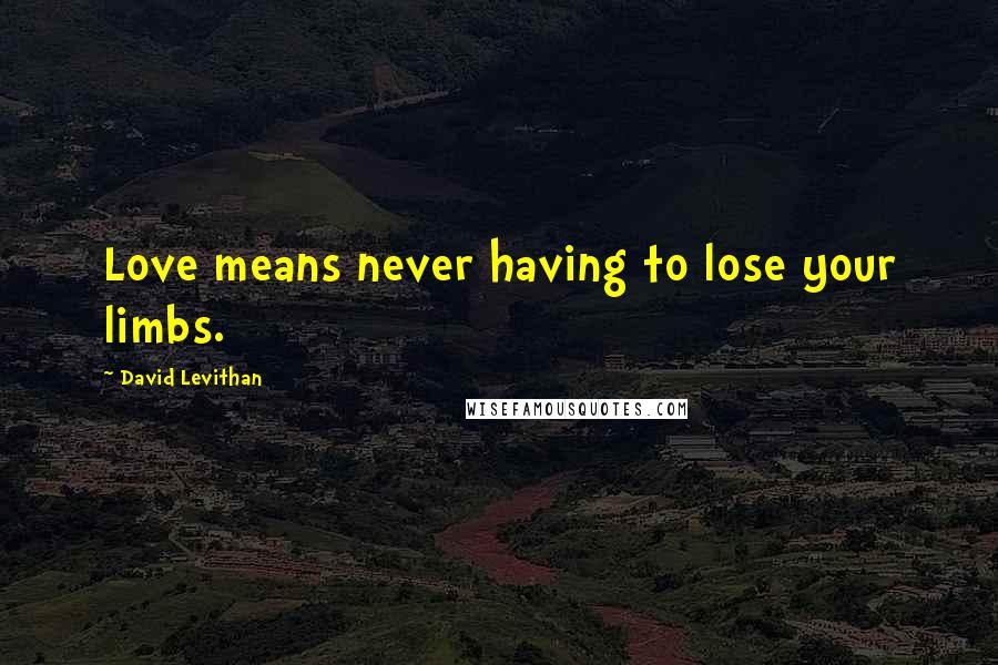 David Levithan Quotes: Love means never having to lose your limbs.
