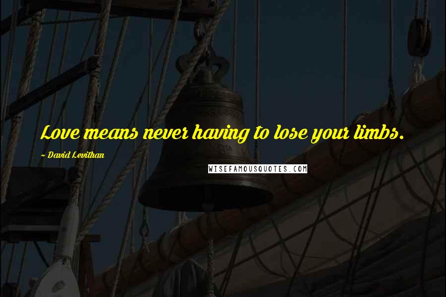 David Levithan Quotes: Love means never having to lose your limbs.