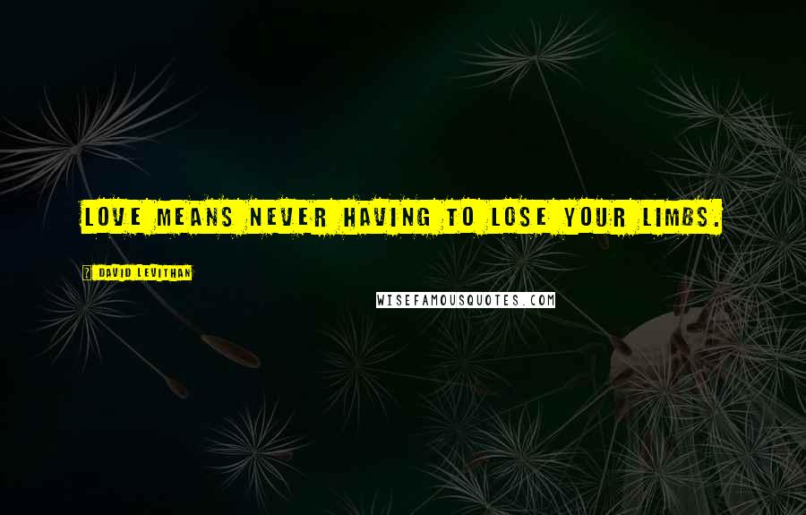 David Levithan Quotes: Love means never having to lose your limbs.