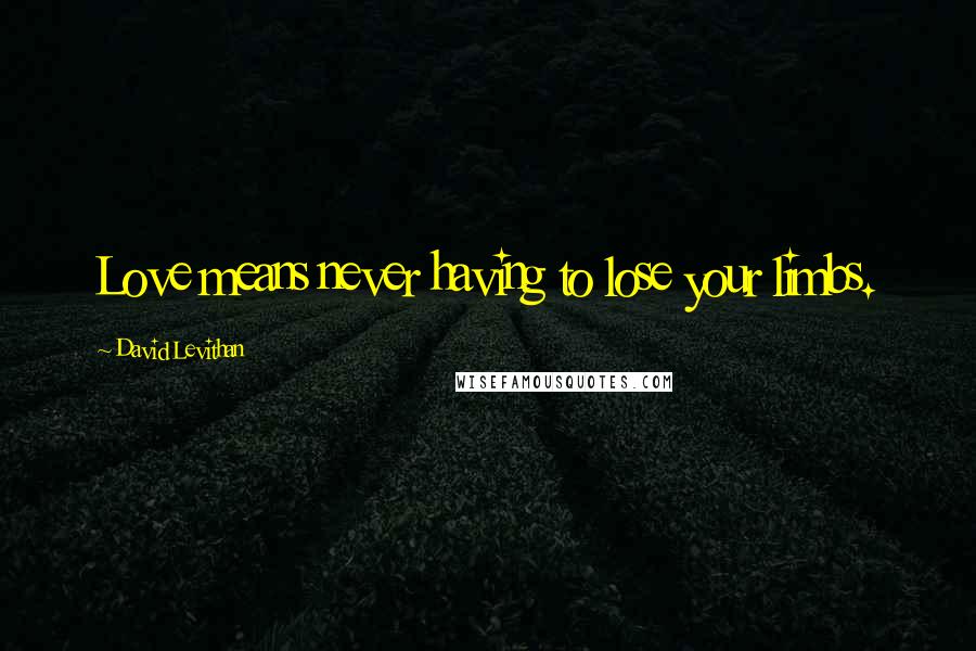 David Levithan Quotes: Love means never having to lose your limbs.
