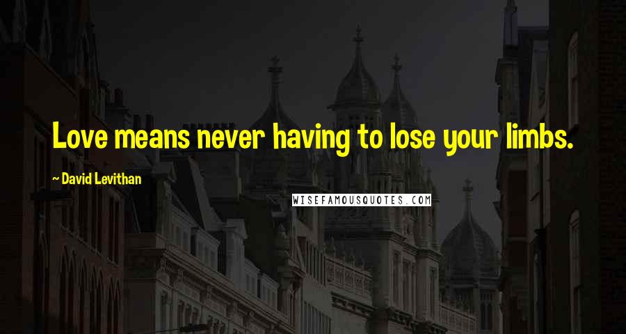 David Levithan Quotes: Love means never having to lose your limbs.