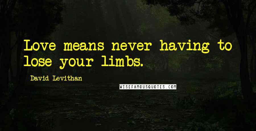 David Levithan Quotes: Love means never having to lose your limbs.