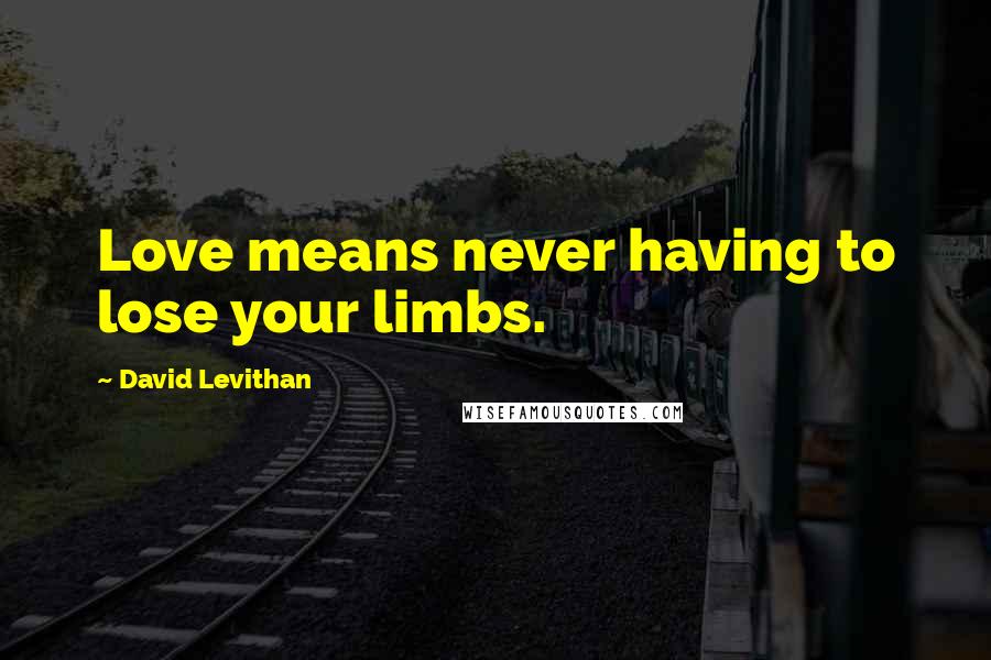 David Levithan Quotes: Love means never having to lose your limbs.