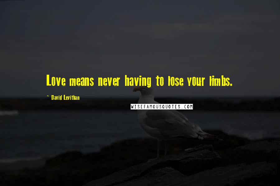 David Levithan Quotes: Love means never having to lose your limbs.