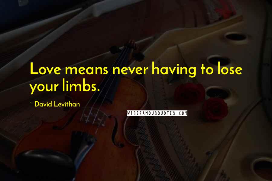 David Levithan Quotes: Love means never having to lose your limbs.