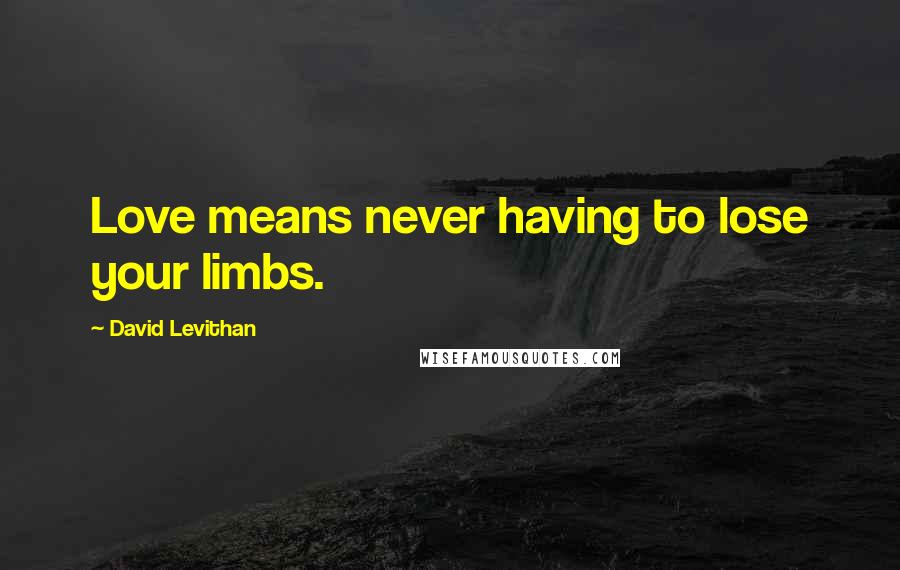 David Levithan Quotes: Love means never having to lose your limbs.