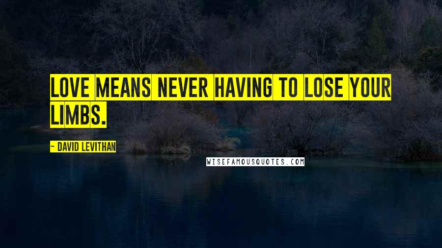 David Levithan Quotes: Love means never having to lose your limbs.