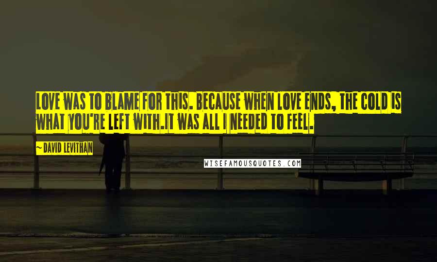 David Levithan Quotes: Love was to blame for this. Because when love ends, the cold is what you're left with.It was all I needed to feel.