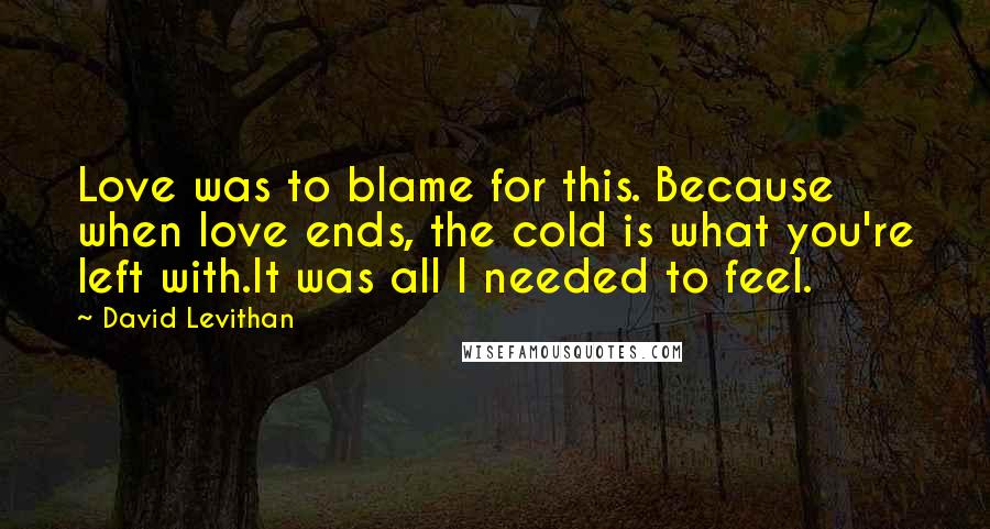 David Levithan Quotes: Love was to blame for this. Because when love ends, the cold is what you're left with.It was all I needed to feel.