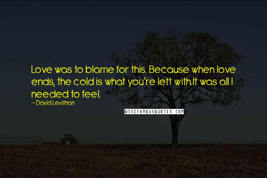 David Levithan Quotes: Love was to blame for this. Because when love ends, the cold is what you're left with.It was all I needed to feel.