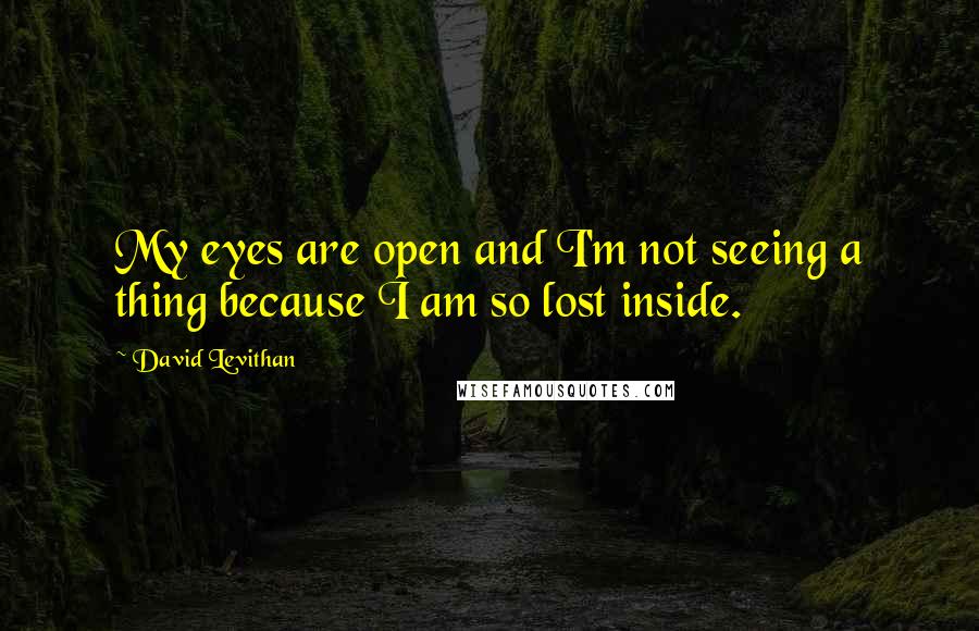 David Levithan Quotes: My eyes are open and I'm not seeing a thing because I am so lost inside.