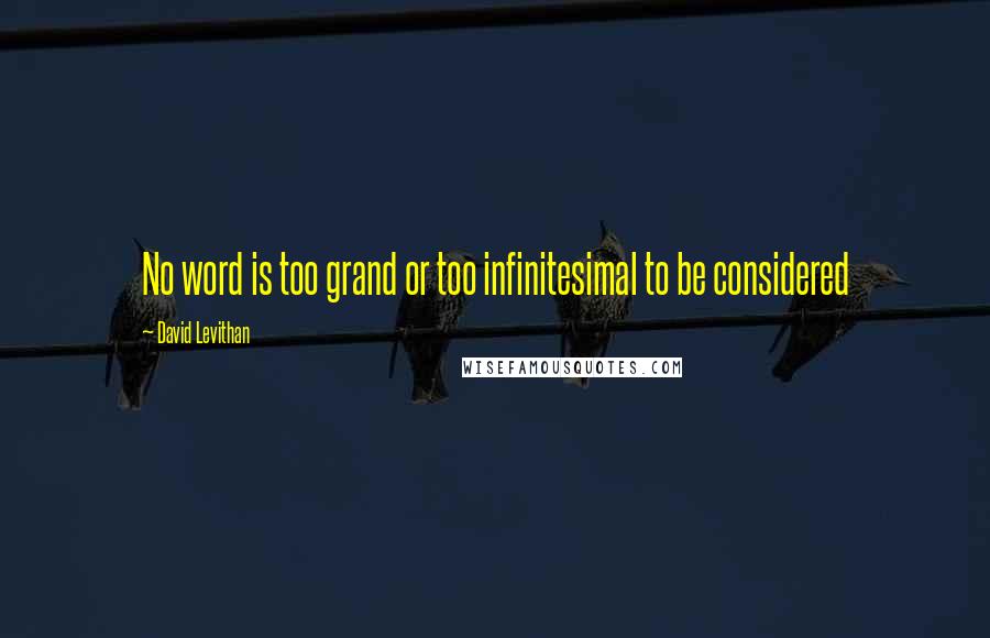 David Levithan Quotes: No word is too grand or too infinitesimal to be considered