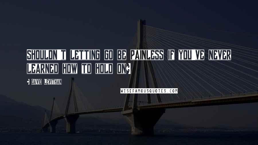David Levithan Quotes: Shouldn't letting go be painless if you've never learned how to hold on?