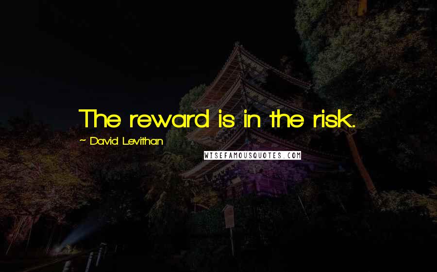 David Levithan Quotes: The reward is in the risk.