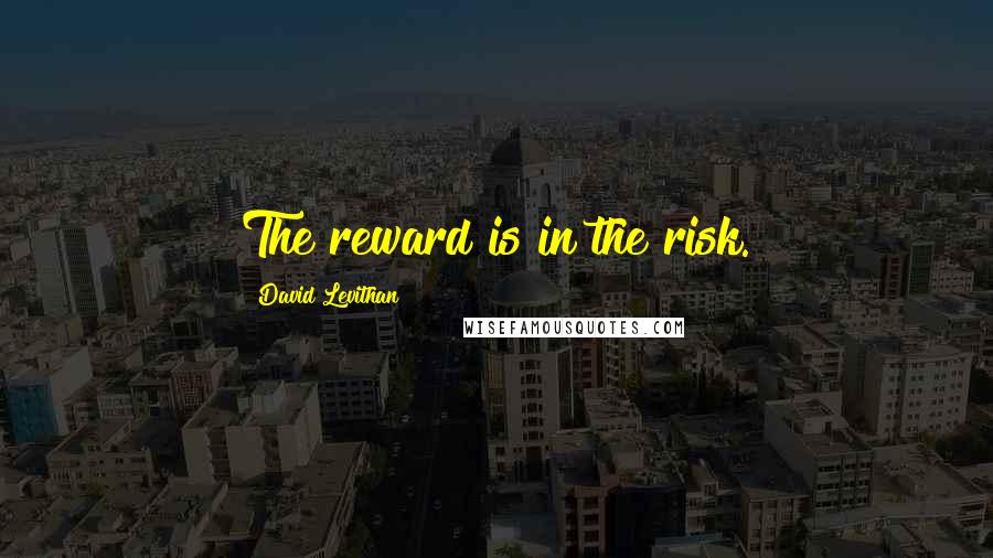 David Levithan Quotes: The reward is in the risk.