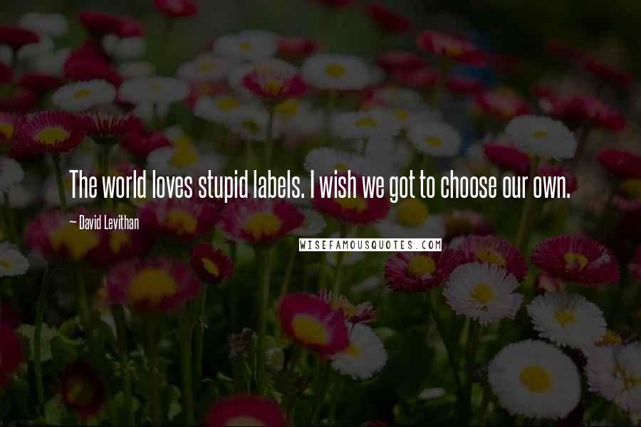 David Levithan Quotes: The world loves stupid labels. I wish we got to choose our own.