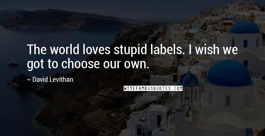 David Levithan Quotes: The world loves stupid labels. I wish we got to choose our own.