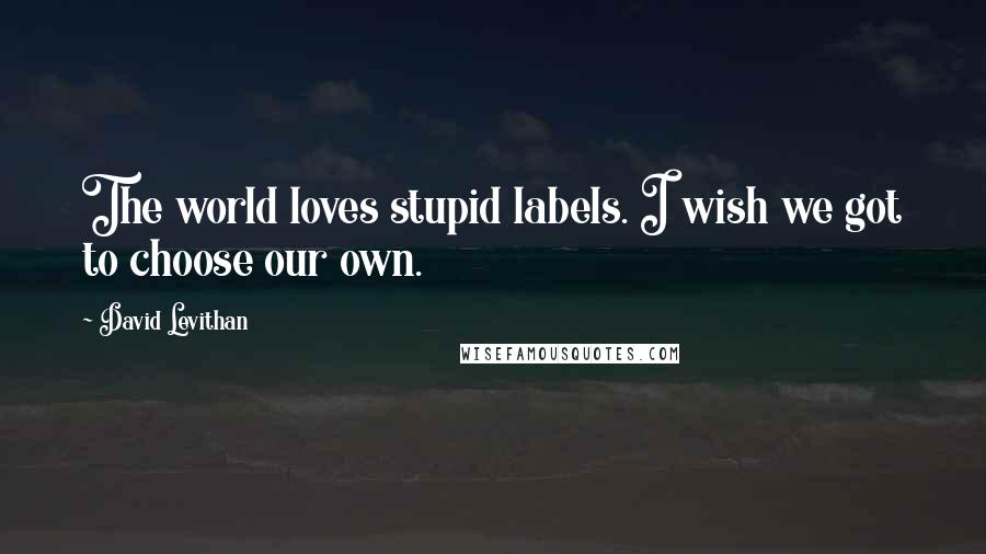 David Levithan Quotes: The world loves stupid labels. I wish we got to choose our own.