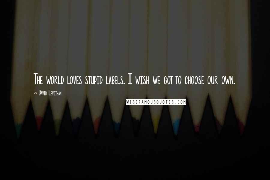 David Levithan Quotes: The world loves stupid labels. I wish we got to choose our own.