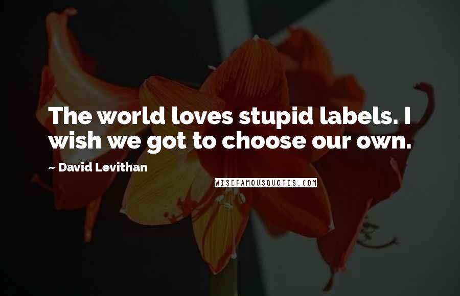 David Levithan Quotes: The world loves stupid labels. I wish we got to choose our own.