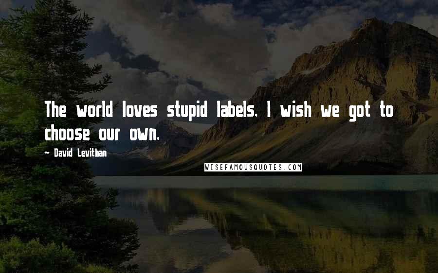 David Levithan Quotes: The world loves stupid labels. I wish we got to choose our own.