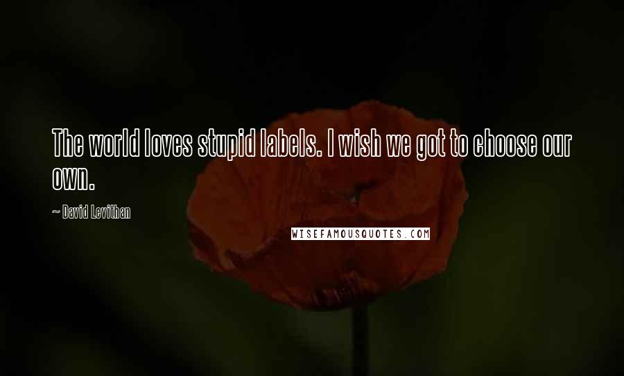 David Levithan Quotes: The world loves stupid labels. I wish we got to choose our own.