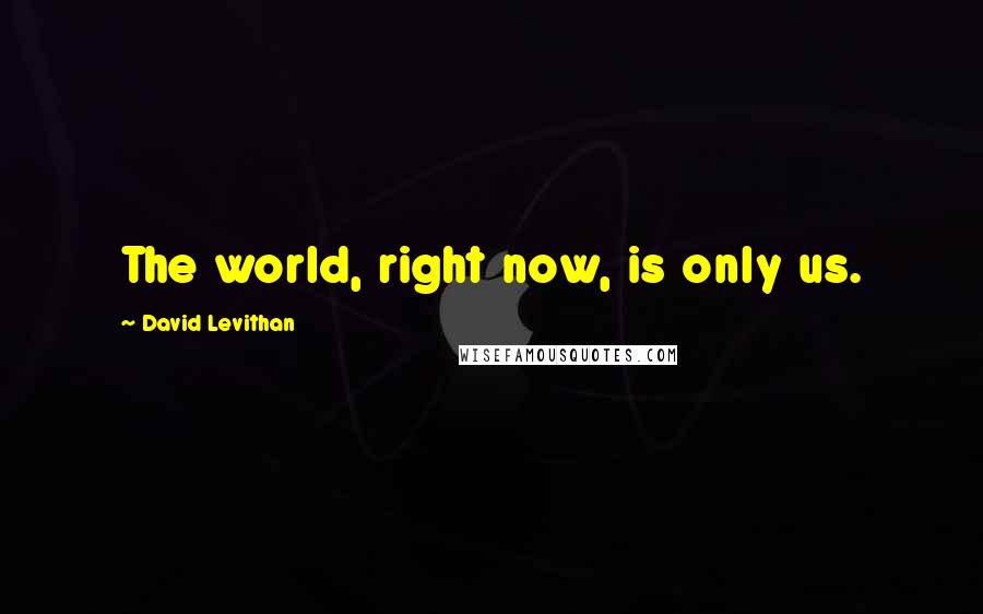 David Levithan Quotes: The world, right now, is only us.