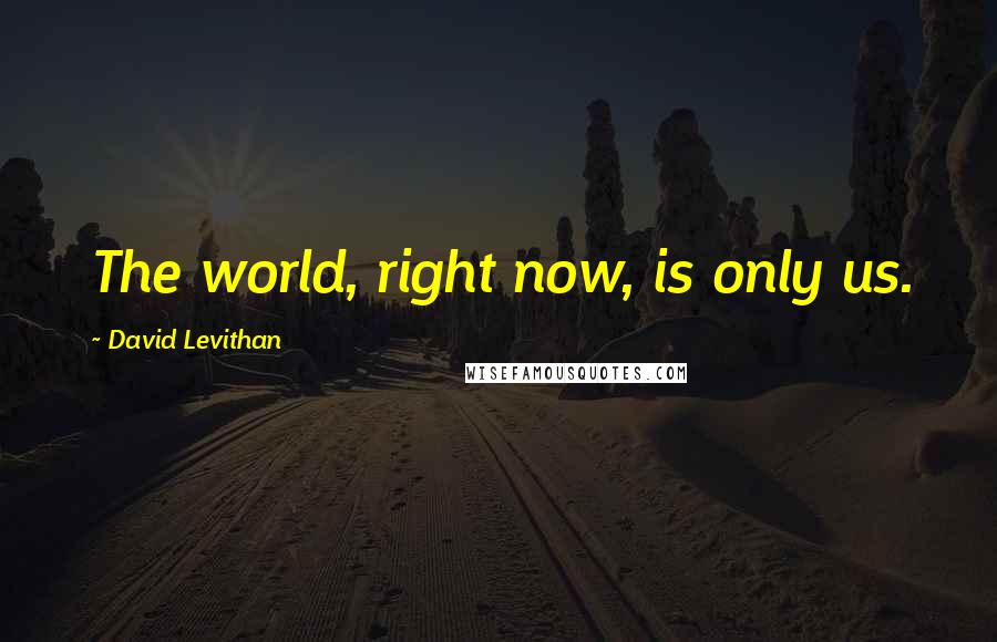 David Levithan Quotes: The world, right now, is only us.