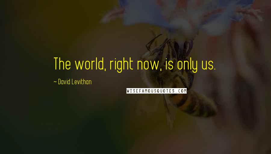 David Levithan Quotes: The world, right now, is only us.