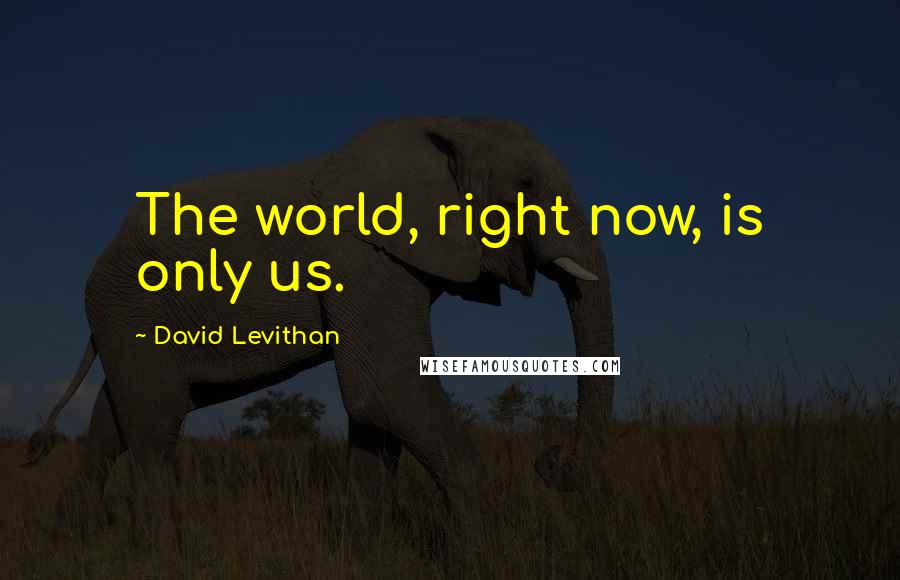 David Levithan Quotes: The world, right now, is only us.