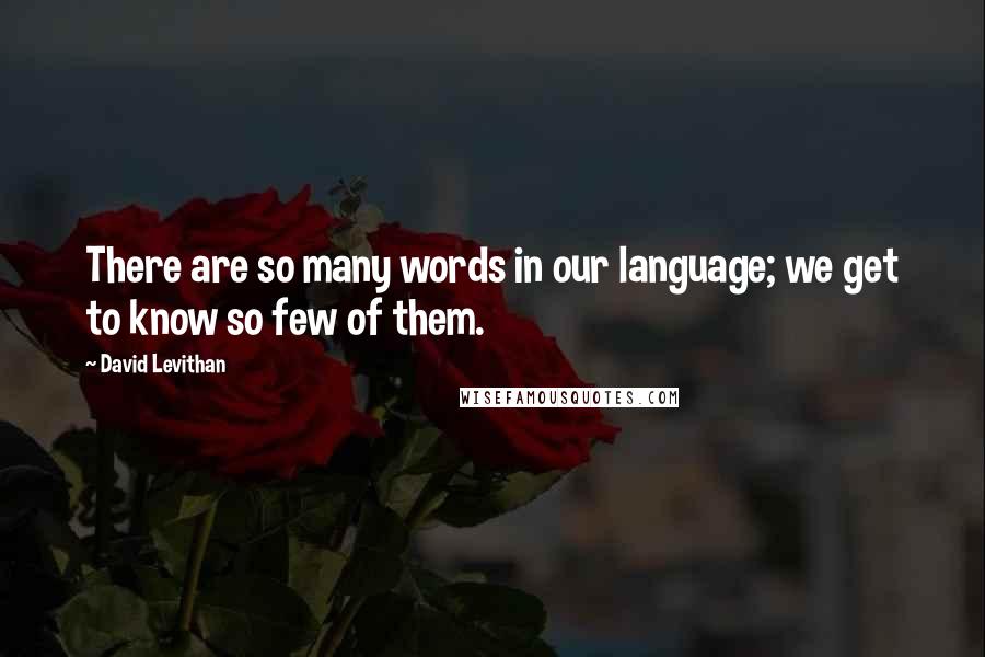 David Levithan Quotes: There are so many words in our language; we get to know so few of them.
