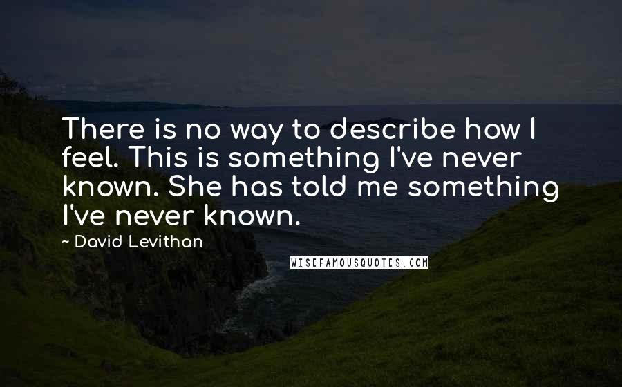 David Levithan Quotes: There is no way to describe how I feel. This is something I've never known. She has told me something I've never known.
