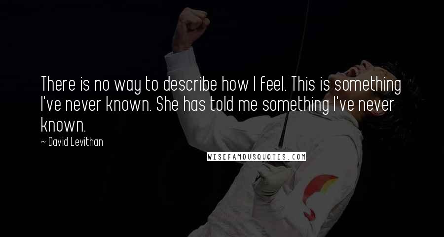 David Levithan Quotes: There is no way to describe how I feel. This is something I've never known. She has told me something I've never known.