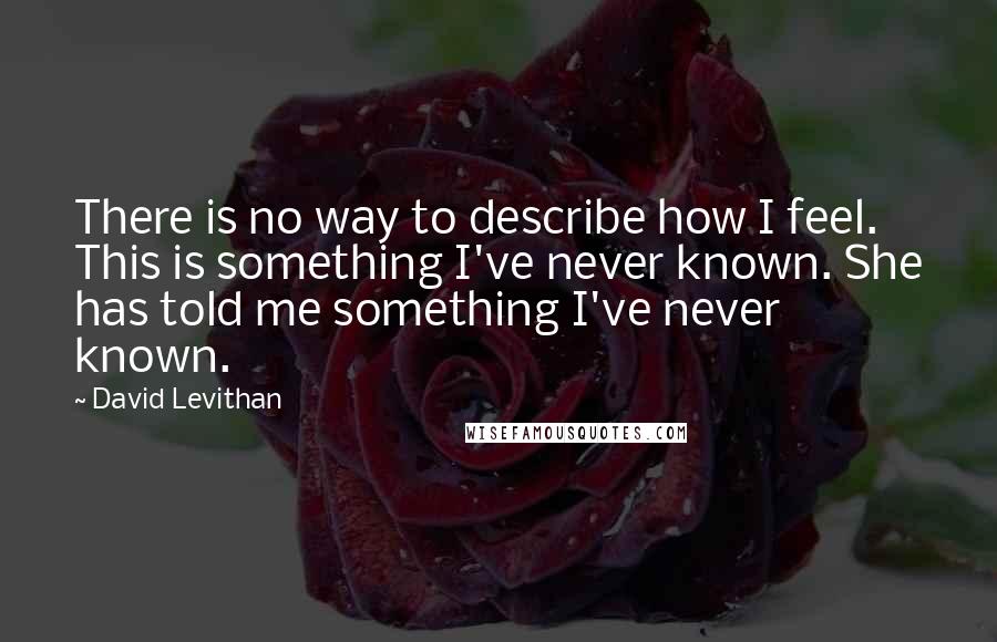 David Levithan Quotes: There is no way to describe how I feel. This is something I've never known. She has told me something I've never known.