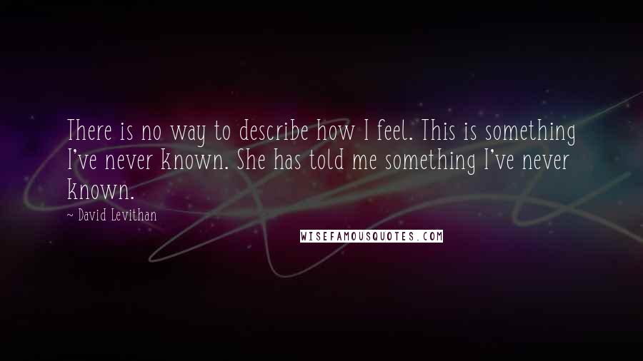 David Levithan Quotes: There is no way to describe how I feel. This is something I've never known. She has told me something I've never known.