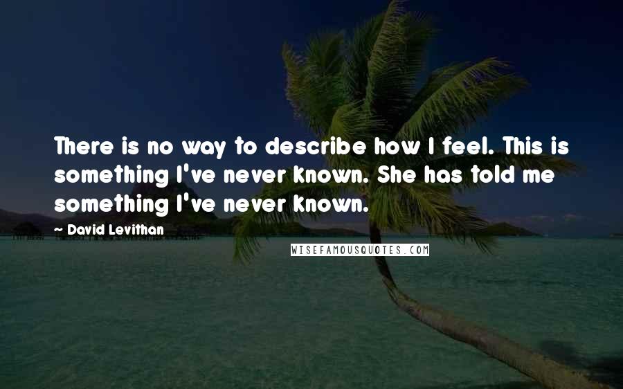 David Levithan Quotes: There is no way to describe how I feel. This is something I've never known. She has told me something I've never known.