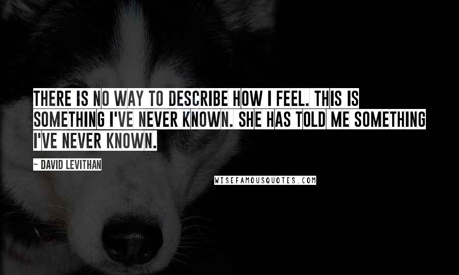 David Levithan Quotes: There is no way to describe how I feel. This is something I've never known. She has told me something I've never known.